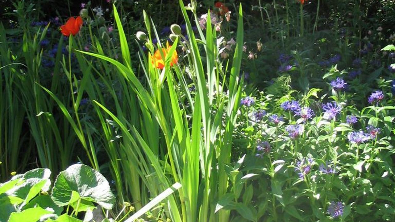 Im Garten der Fresenborg Im Garten der Fresenborg